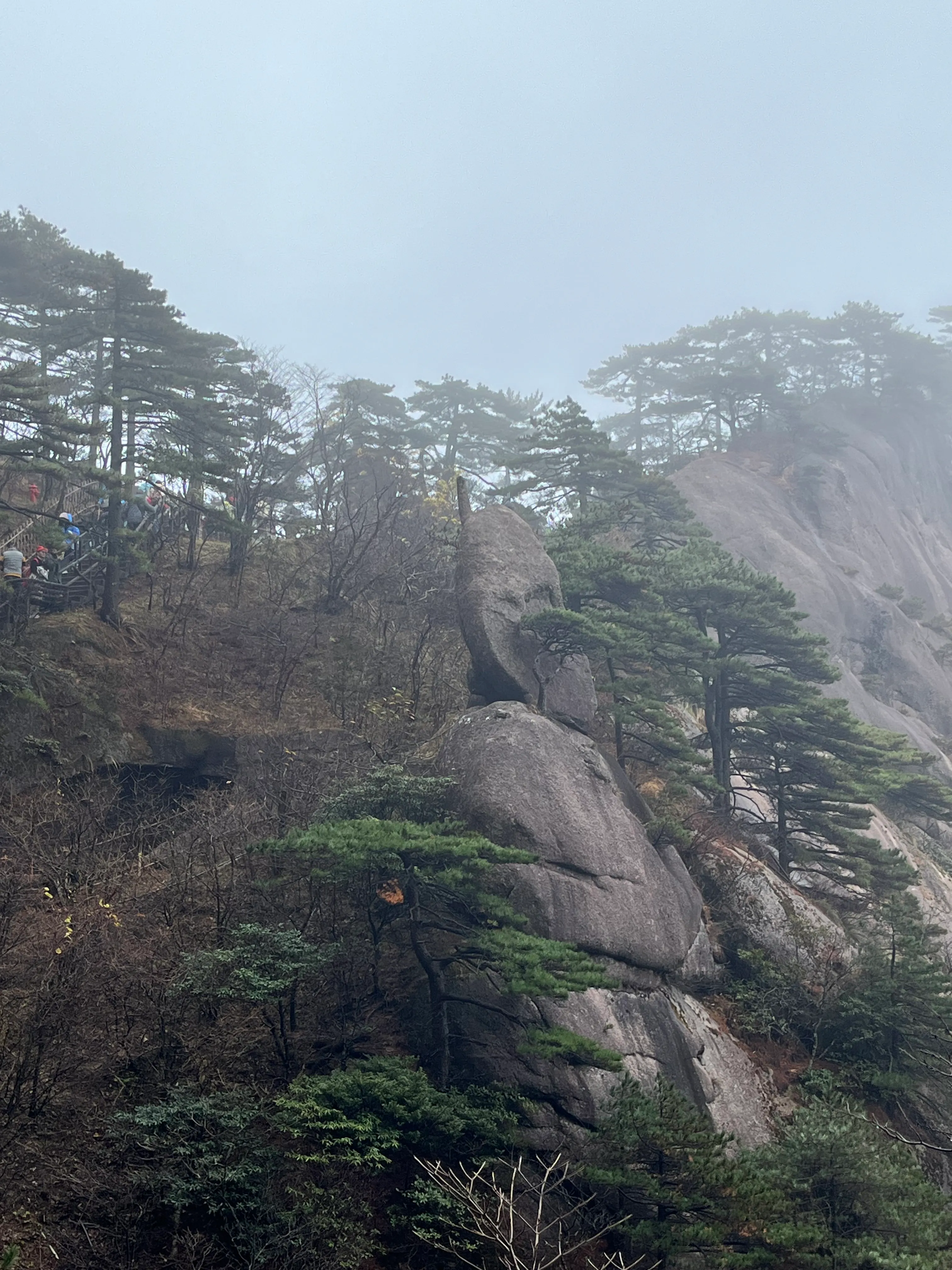 仙人指路