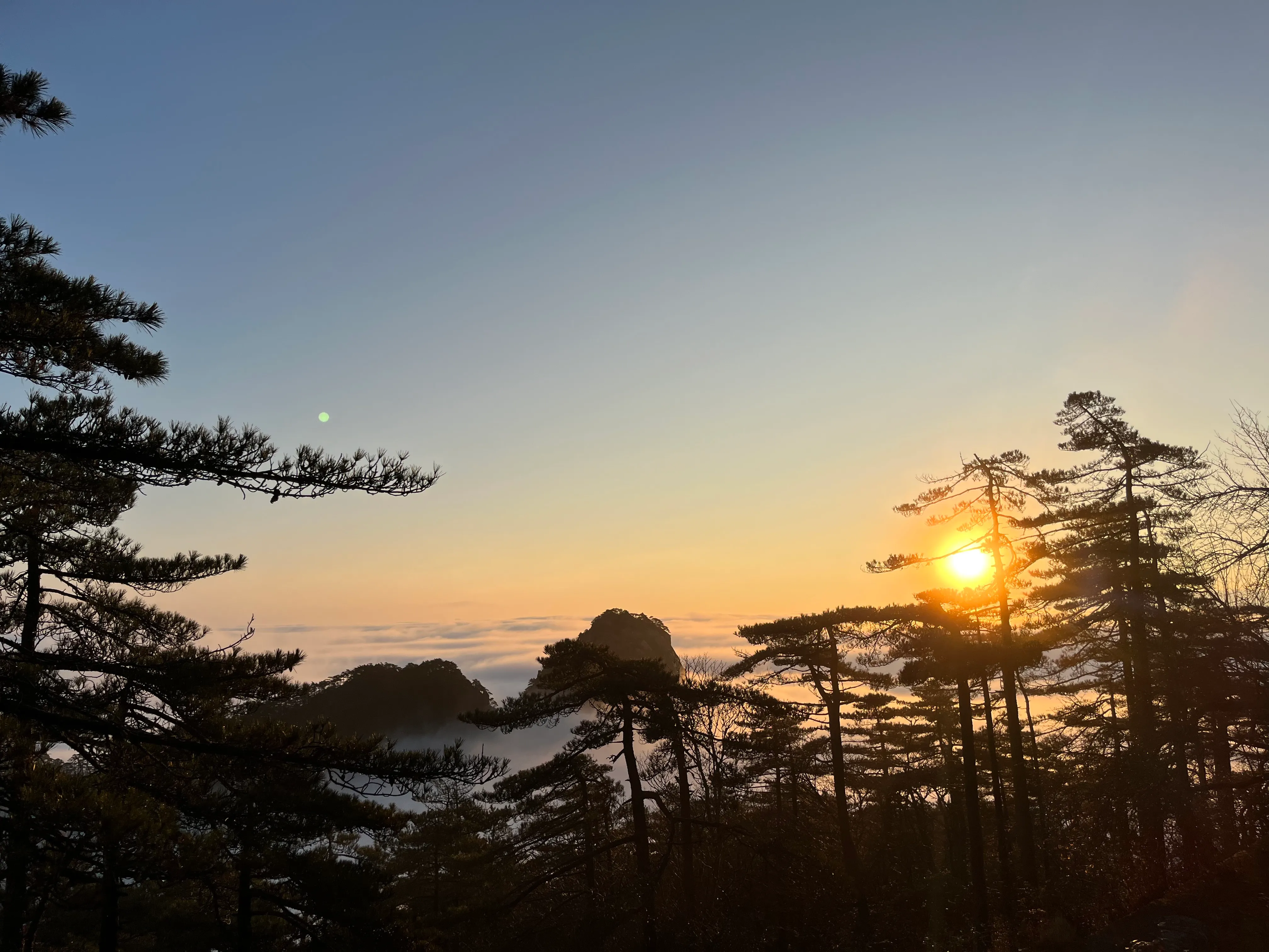 松树间升起的黄山日出