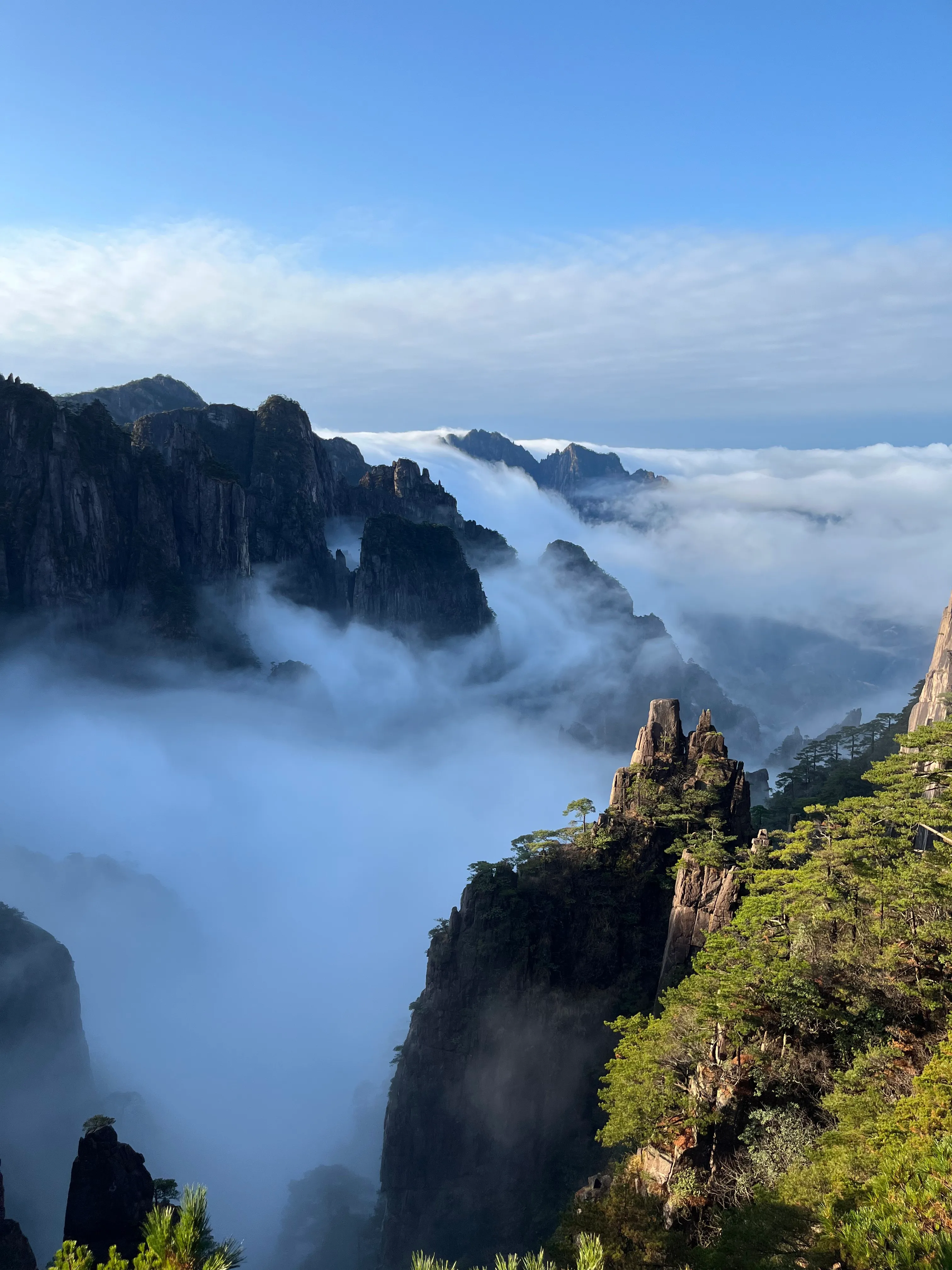 晨光下云海漫过西海大峡谷群峰